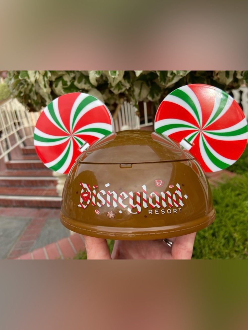 Disneyland holidays ice cream bowl